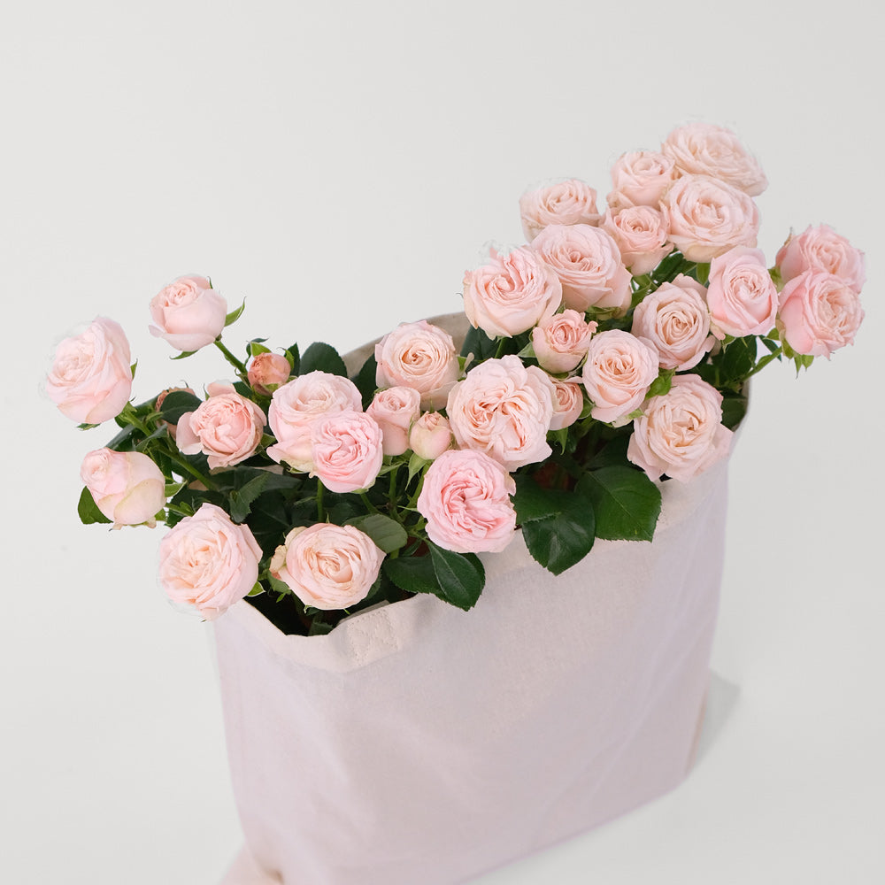Bombastic Spray Rose Pink Flowers Tote Bag