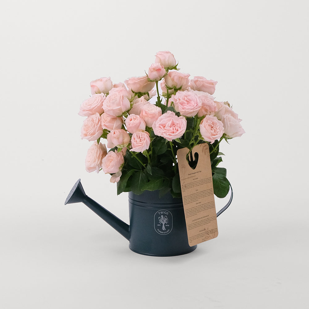 Mini Rosa Bombastic Bombastic Spray Rose Pink TWIGS-it Can – TWIGS
