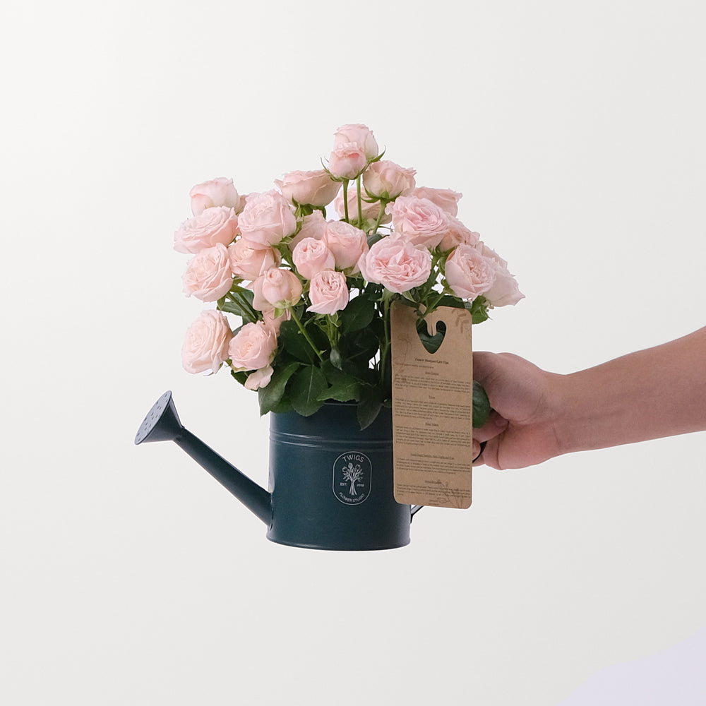 Mini Rosa Bombastic Bombastic Spray Rose Pink TWIGS-it Can – TWIGS
