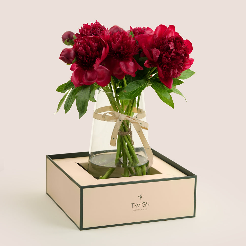 Burgundy peony tall vase arrangement in TWIGS beige signature box — Eid Al Adha flower delivery Dubai