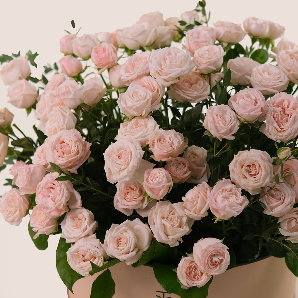 Bombastic Pink Roses – Chic Flower Box Elegance