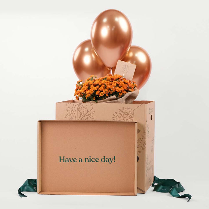 Chrysanthemum Orange flowers Surprise Box TWIGS