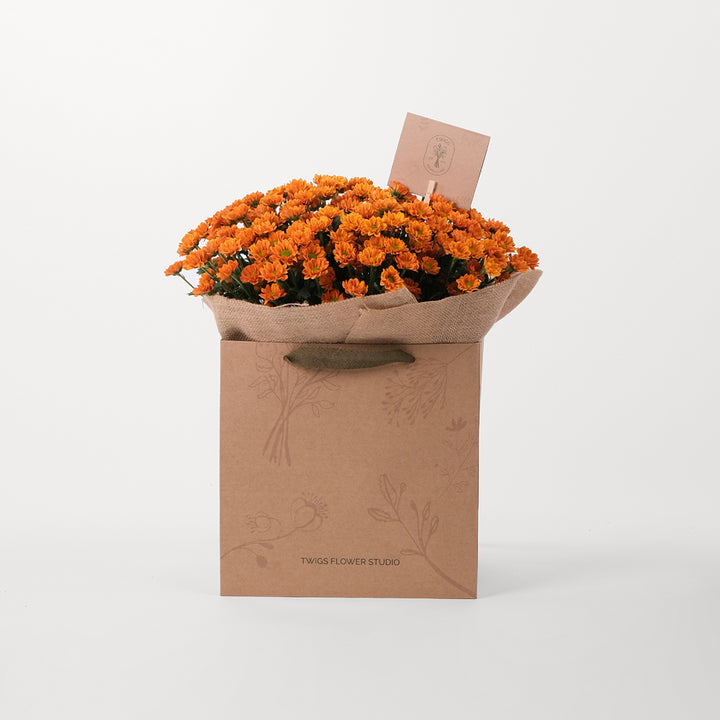CHRYSANTHEMUM ORANGE Flowers Bouquet In A Bag