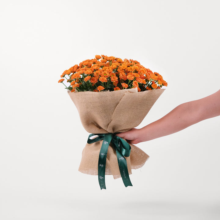CHRYSANTHEMUM ORANGE Flowers Bouquet In A Bag