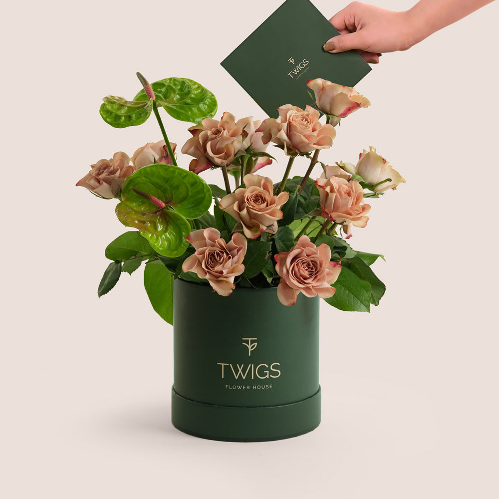 Café latte roses and green anthurium arranged in a dark green TWIGS Flower House box with matching card
