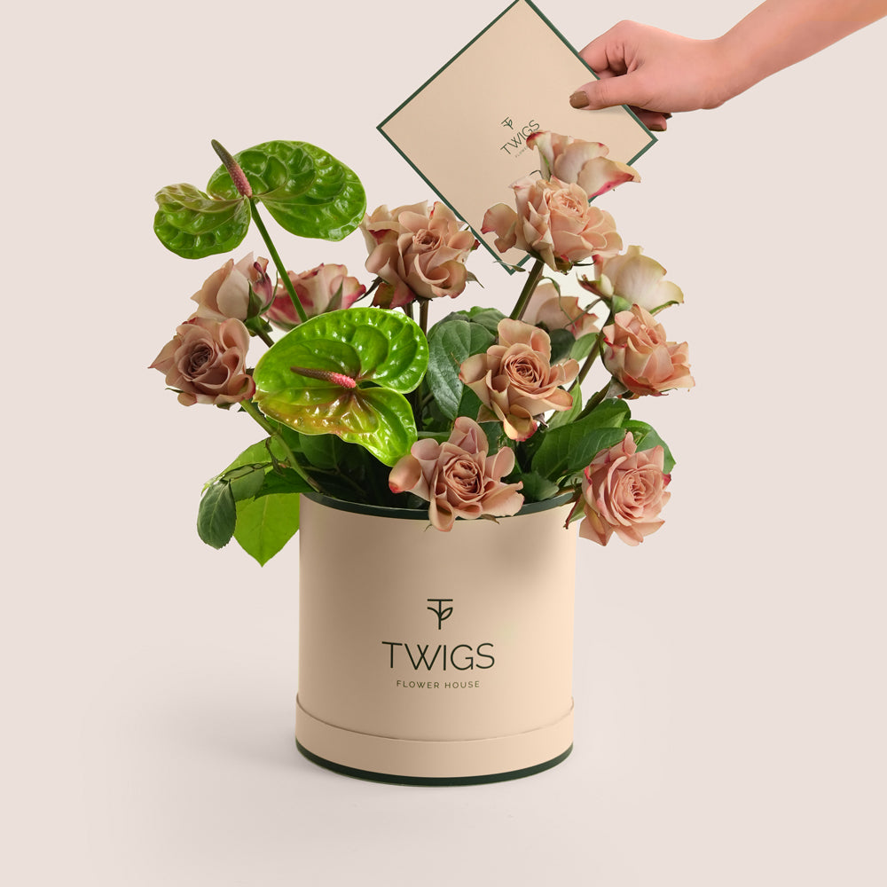 Café latte roses and green anthurium arranged in a dark green TWIGS Flower House box with matching card