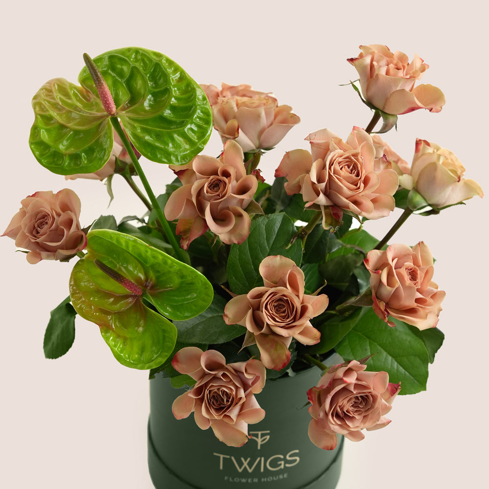 Café latte roses and green anthurium arranged in a dark green TWIGS Flower House box with matching card