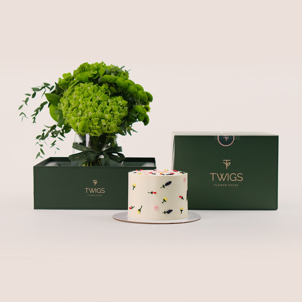 Fresh Celebration – Green Chrysanthemums, Hydrangea vase & Birthday Cake Bundle – A Luxurious Blend of Beauty, Festivity, and Sweetness