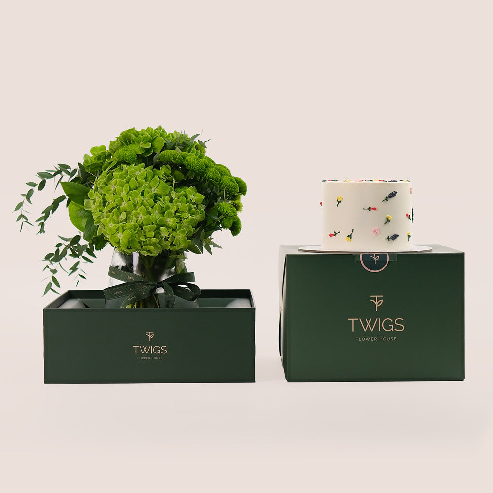 Fresh Celebration – Green Chrysanthemums, Hydrangea vase & Birthday Cake Bundle – A Luxurious Blend of Beauty, Festivity, and Sweetness