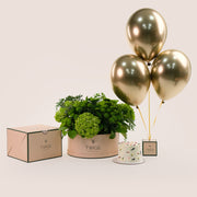 Grande Flowers Round Box, Cake & Balloons Bundle – A Perfect Blend of Freshness, Celebration, and Sweetness