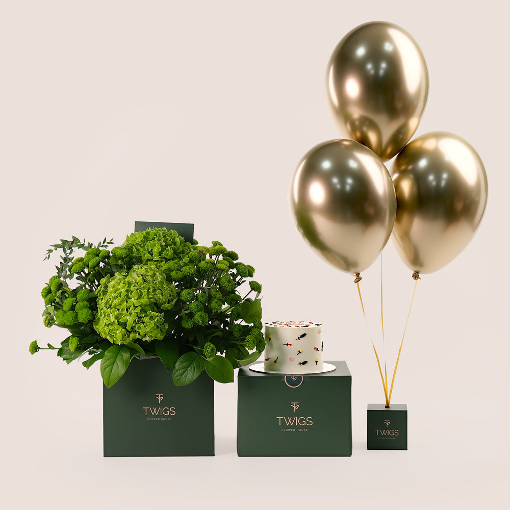 Green Birthday Bliss Cube Box Green Chrysanthemums, Hydrangea Flowers & Cake & Balloons Bundle