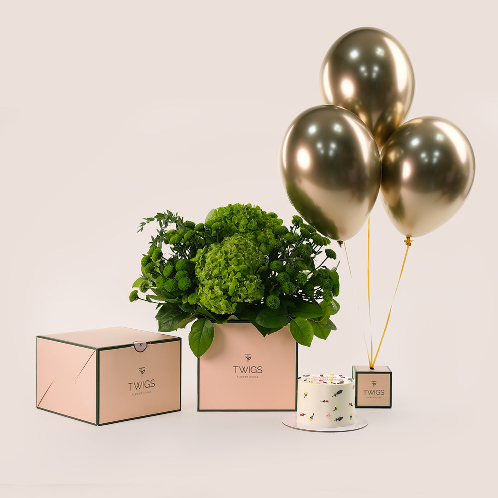 Green Birthday Bliss Cube Box Green Chrysanthemums, Hydrangea Flowers & Cake & Balloons Bundle