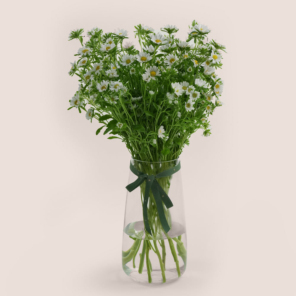 White Daisies in Tall Glass Vase | Flower Delivery Dubai & UAE