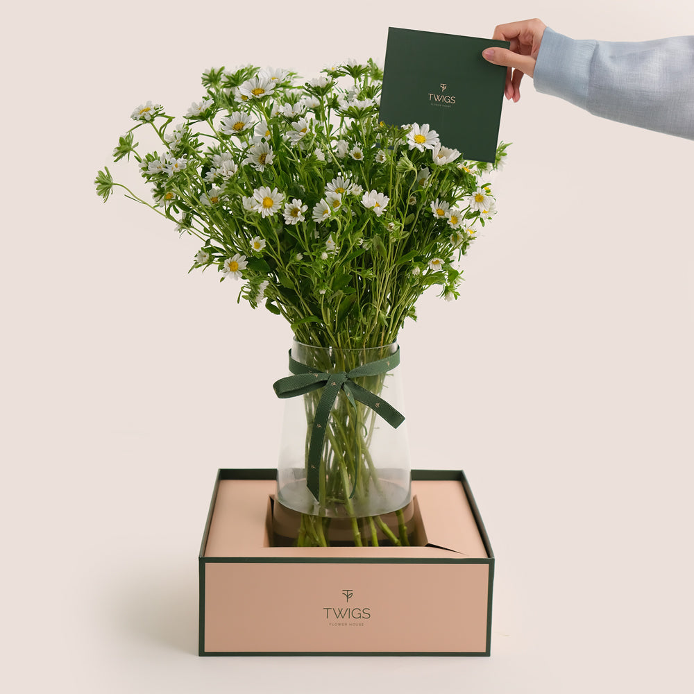White Daisies in Tall Glass Vase | Flower Delivery Dubai & UAE