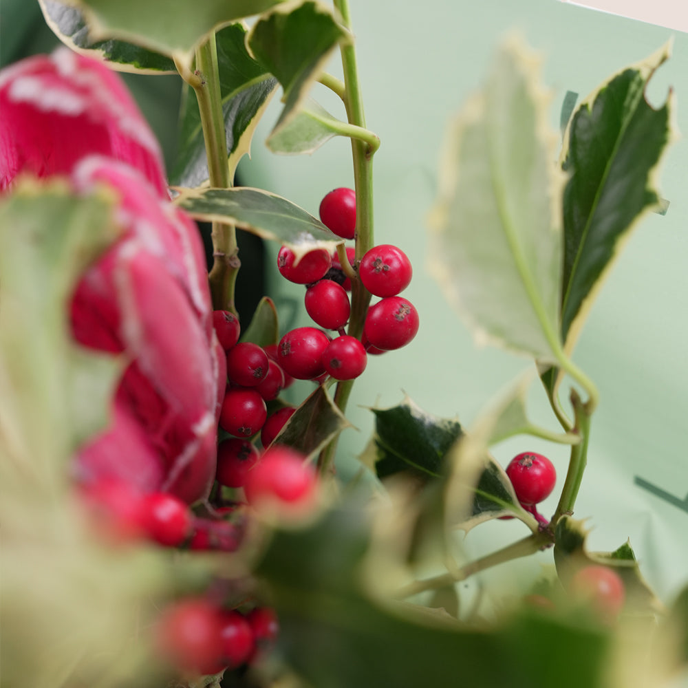 Red berries on a green plant with a blurred background