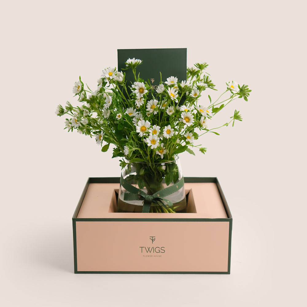 Daisies in glass vase