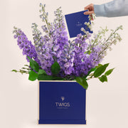 Delphiniums Purple Flower Box | Elegant Floral Gift UAE