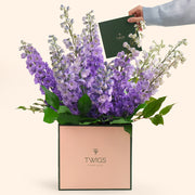 Delphinium Floral arrangement in a box with 'TWIGS'