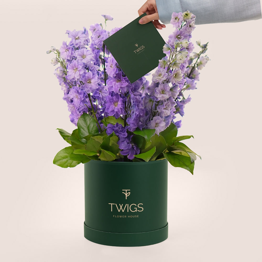 Delphiniums in Deluxe Round Flower Box | Purple Flowers with Greens