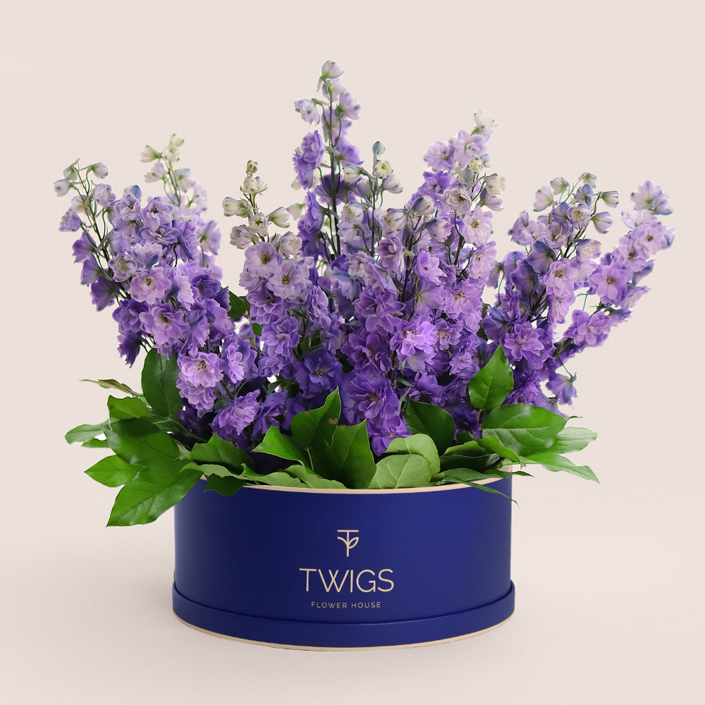 Purple Delphiniums in Luxury Hat Box Flower Arrangement UAE