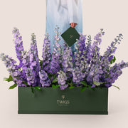 زهور الدلفينيوم في صندوق حديقة فاخةر | توصيل أزهار أرجوانية أنيقة في الإمارات العربية المتحدة