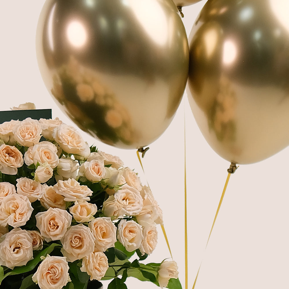 Grande Flower Round Box of Cream Salinero Roses & Balloons Bundle – A Luxurious Expression of Elegance and Festivity