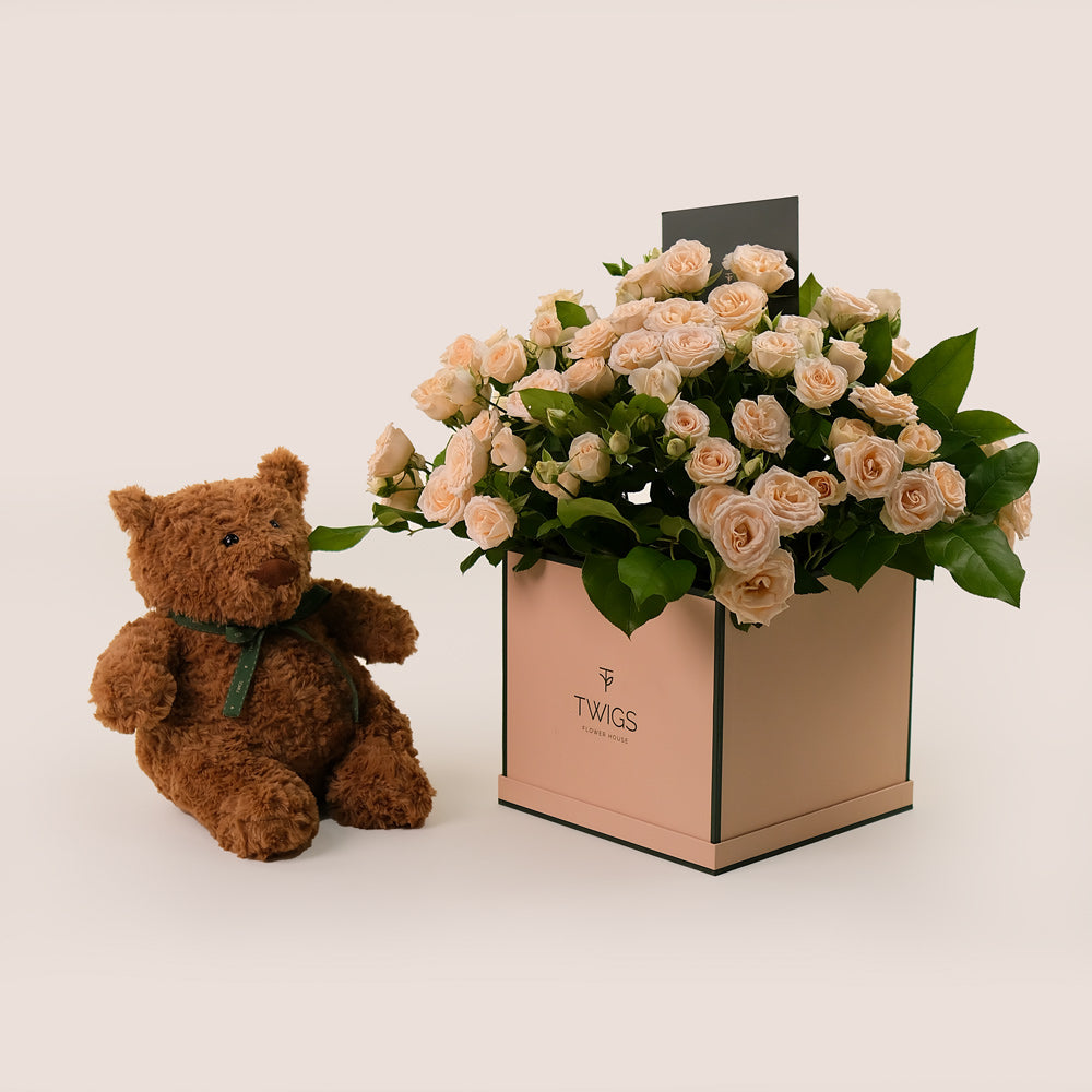 Cream Salinero Spray Roses Cube Box & Soft Teddy Bear Bundle – A Heartfelt Gift of Timeless Beauty and Comfort