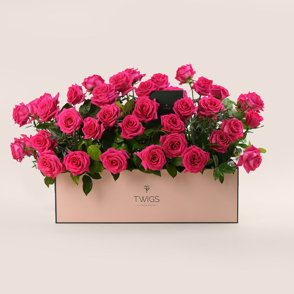 Fuchsia Roses in Flower Garden Box – A Blooming Oasis of Luxury