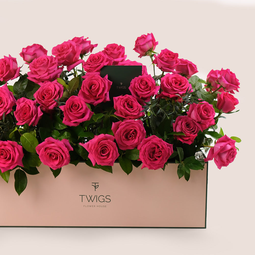 Fuchsia Roses in Flower Garden Box – A Blooming Oasis of Luxury