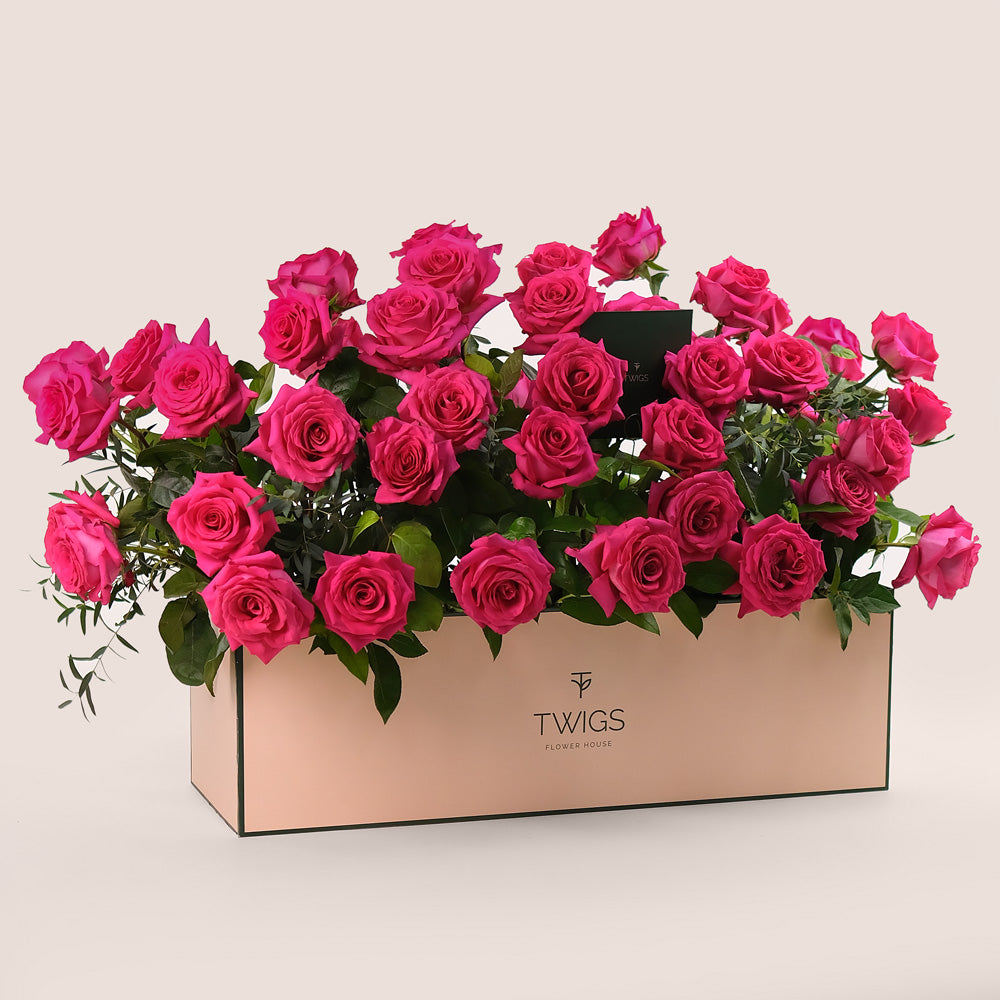 Fuchsia Roses in Flower Garden Box – A Blooming Oasis of Luxury