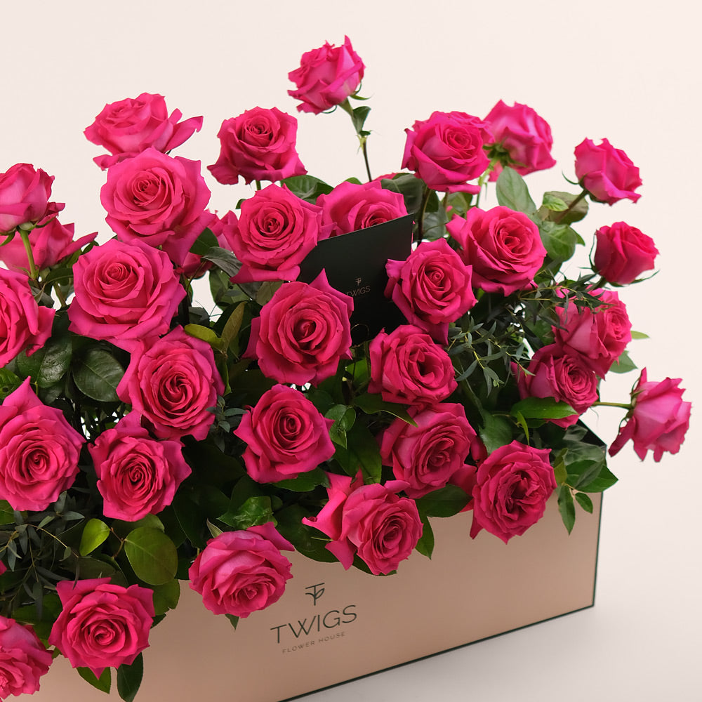 Fuchsia Roses in Flower Garden Box – A Blooming Oasis of Luxury