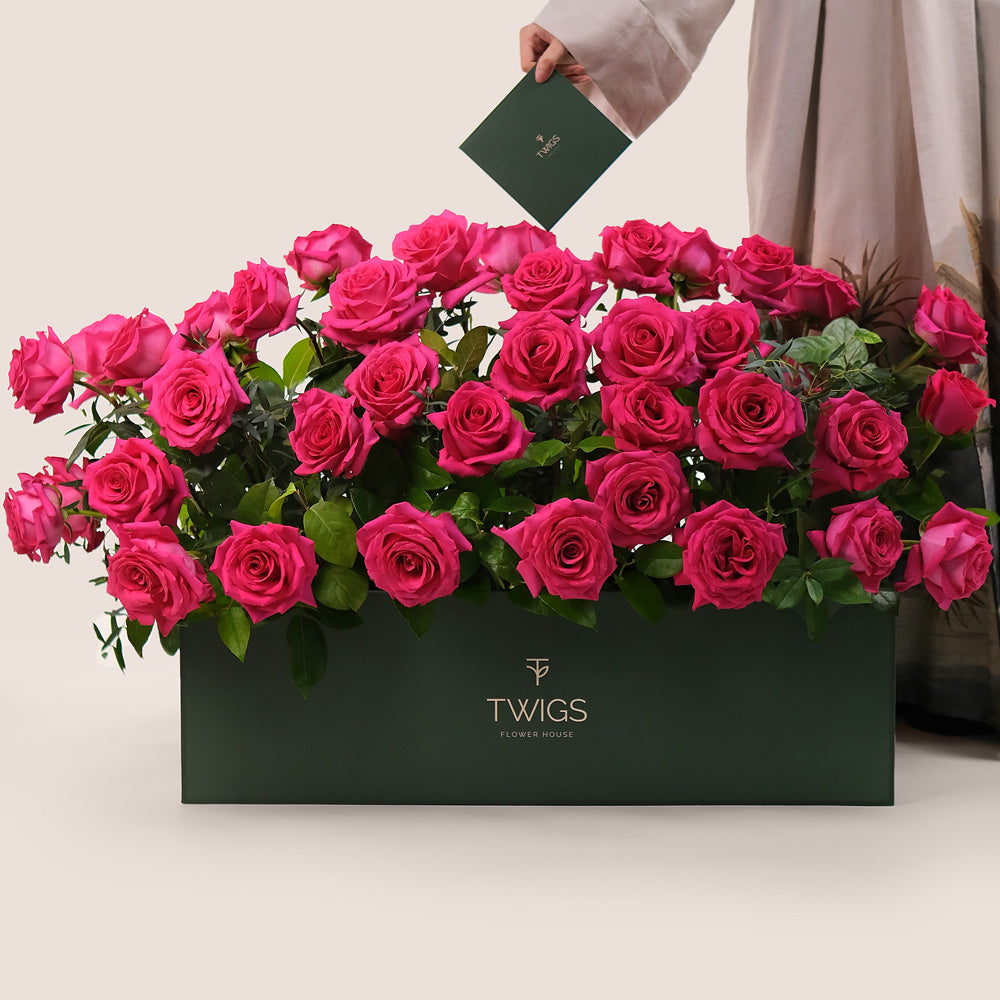 Fuchsia Roses in Flower Garden Box – A Blooming Oasis of Luxury