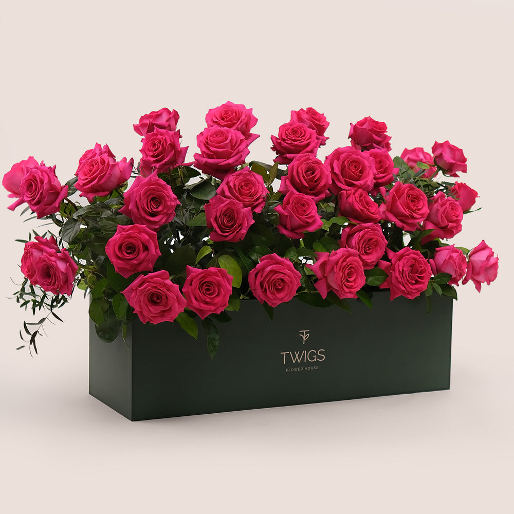 Fuchsia Roses in Flower Garden Box – A Blooming Oasis of Luxury