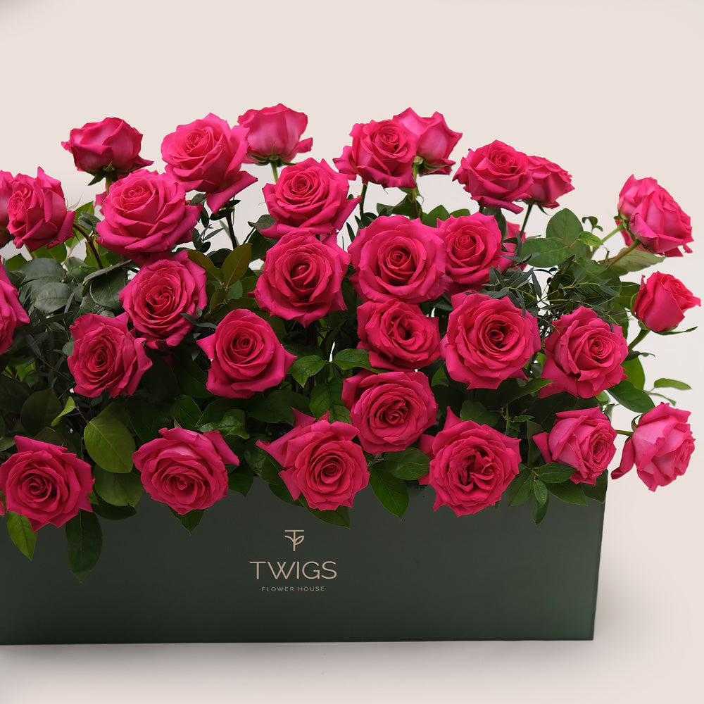 Fuchsia Roses in Flower Garden Box – A Blooming Oasis of Luxury