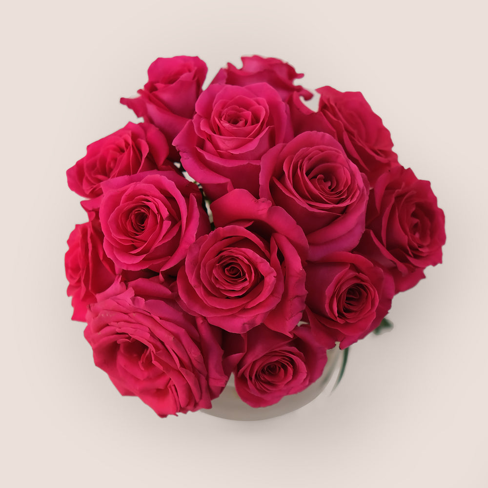 Hot Pink Ecuador Roses in a Petite Flower Vase – Luxury with a Bold Pop of Color