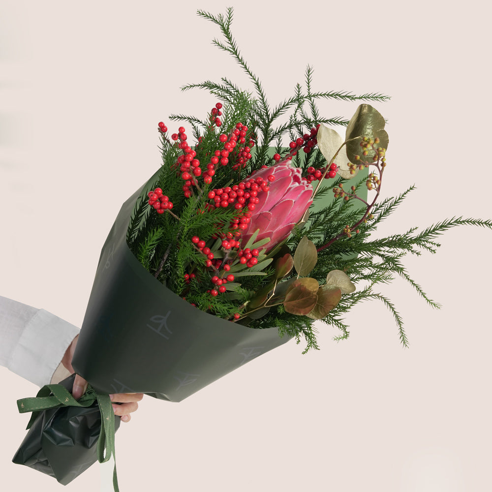 Christmas flower bouquet featuring a central pink King Protea, vibrant red hypericum berries, evergreen foliage, and gold-painted leaves, all in a beige and green TWIGS cone carrier bag