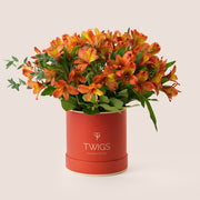 Orange Alstroemeria bouquet in a orange TWIGS Flower House signature box on a beige background