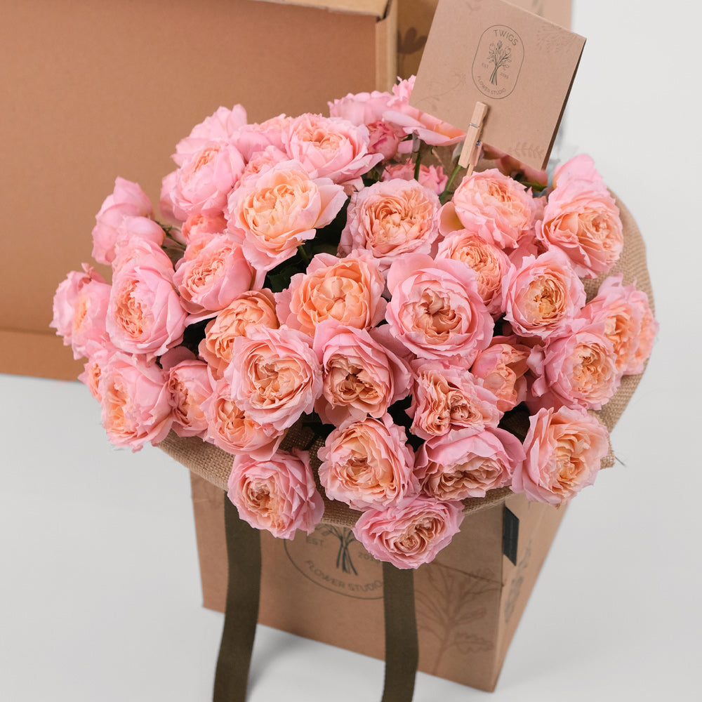 Juliet Roses Pink Surprise Box – A Perfect Gift of Elegance and Love