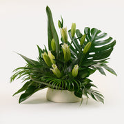 A vase arrangement of green Monstera leaves and white lily flowers, presented against a neutral background.