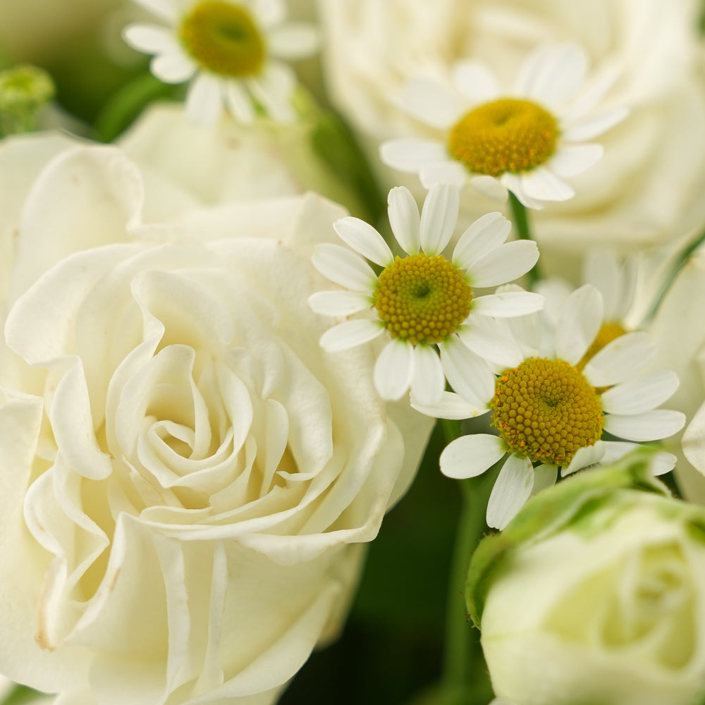 Emirati Women’s Day 2026 Flowers & Floral Cake Cup Combo  – بنت الإمارات