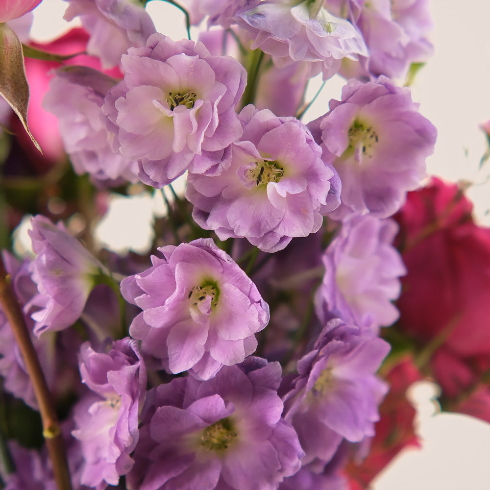 Purple Majesty – Flowers in a Petite Vase & Premium Chocolate Gift Set