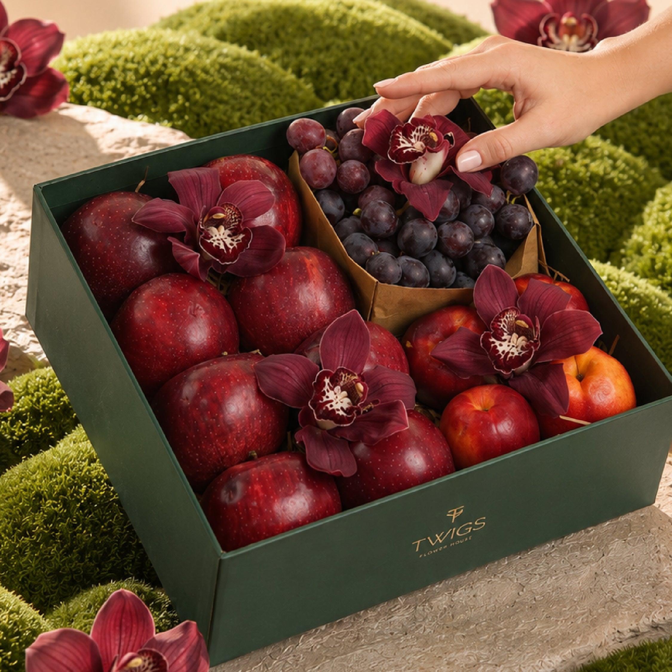 The Harvest Collection - Red Box