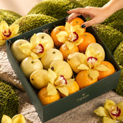 The Harvest Collection - Citrus Box