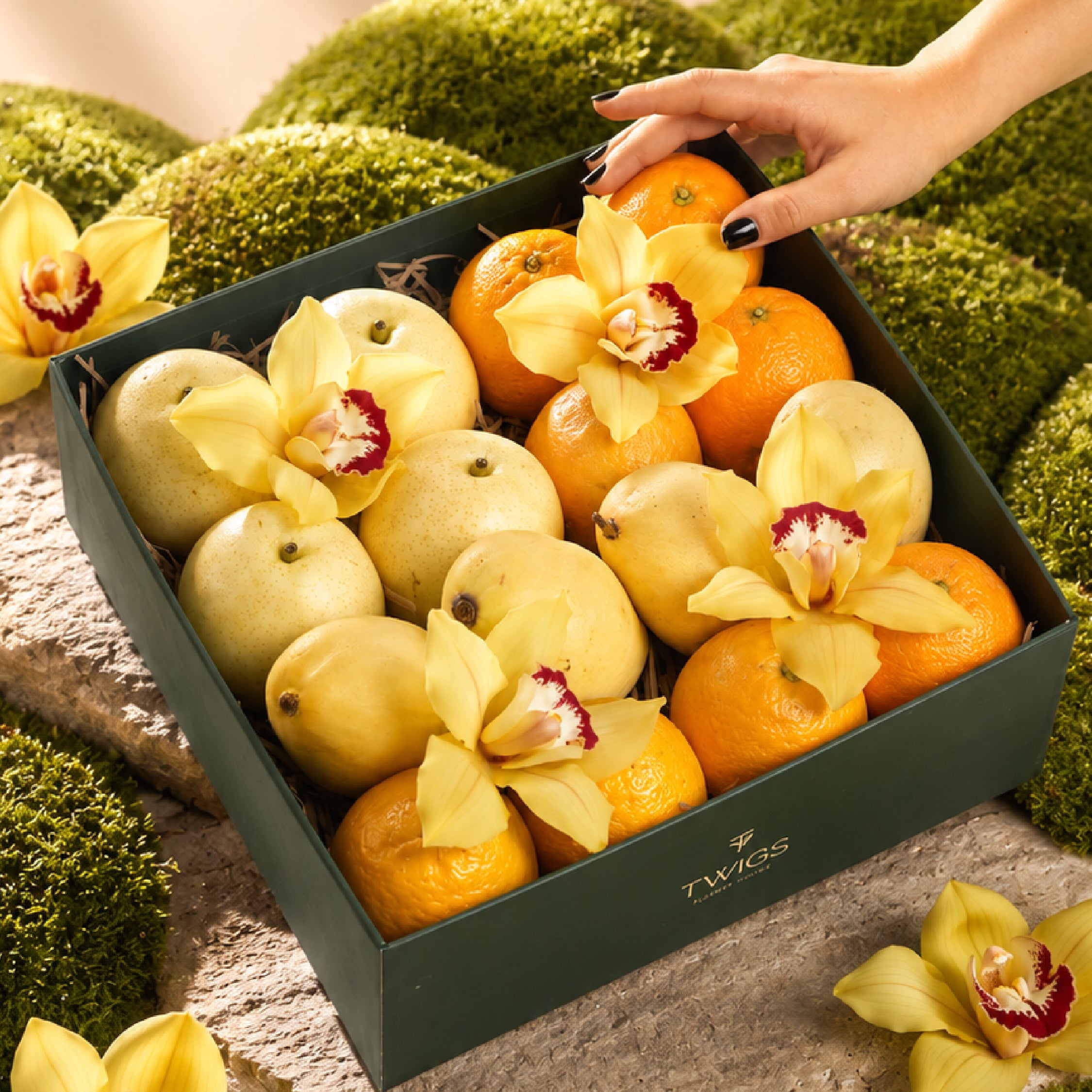 The Harvest Collection - Citrus Box