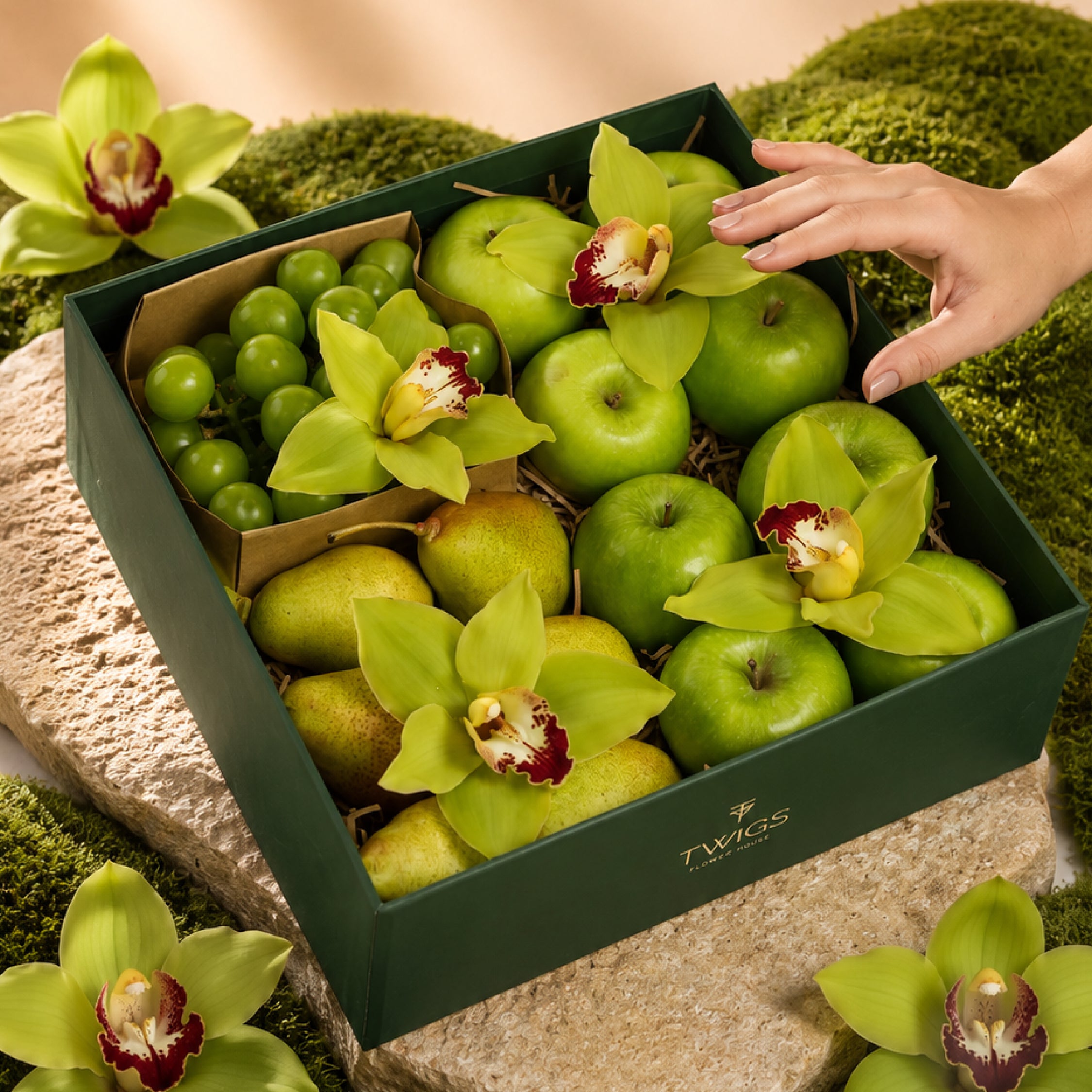 The Harvest Collection - Green Box