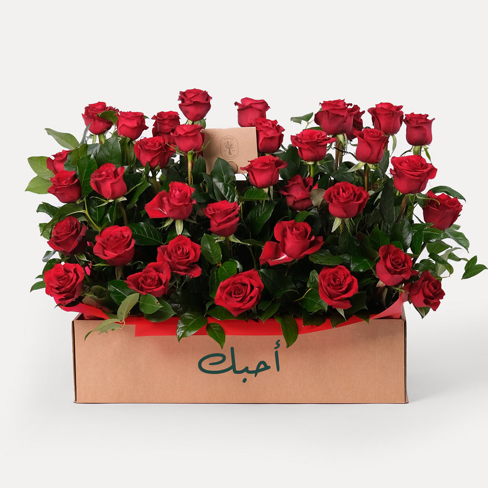 Red Roses Garden Box