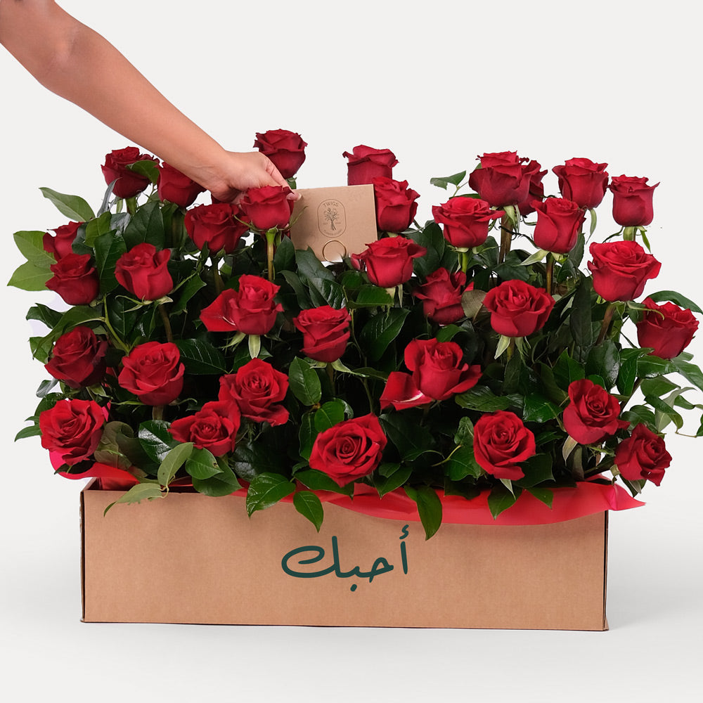 Red Roses Garden Box