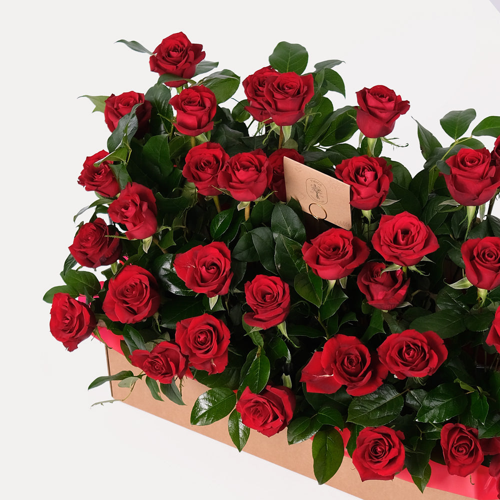 Red Roses Garden Box