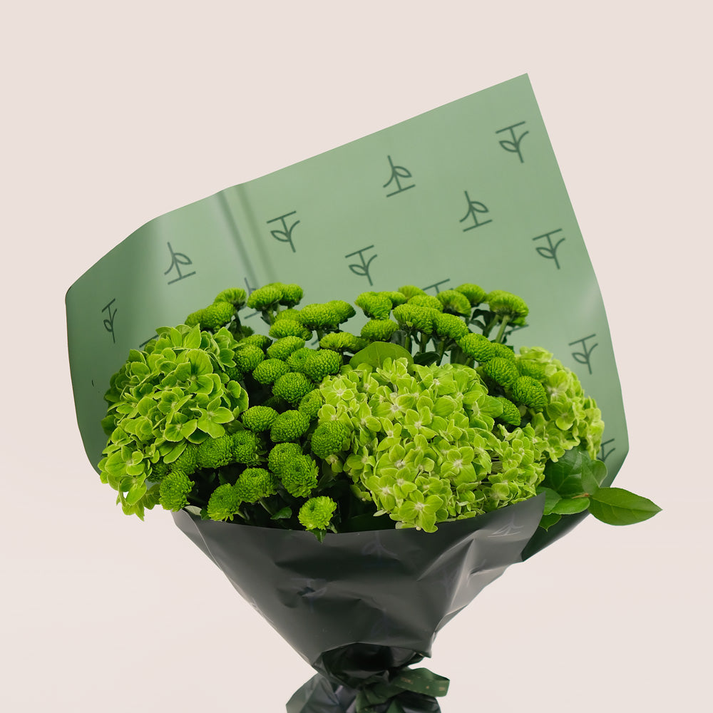 Green Bloom – Hand Bouquet of Hydrangeas & Button Mums - A Refreshing Hand-Tied Bouquet of Natural Charm