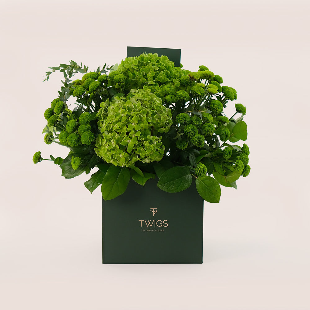 Verdant Charm – Green Hydrangeas & Button Mums in Signature Box - A Refreshing Floral Gift of Natural Elegance